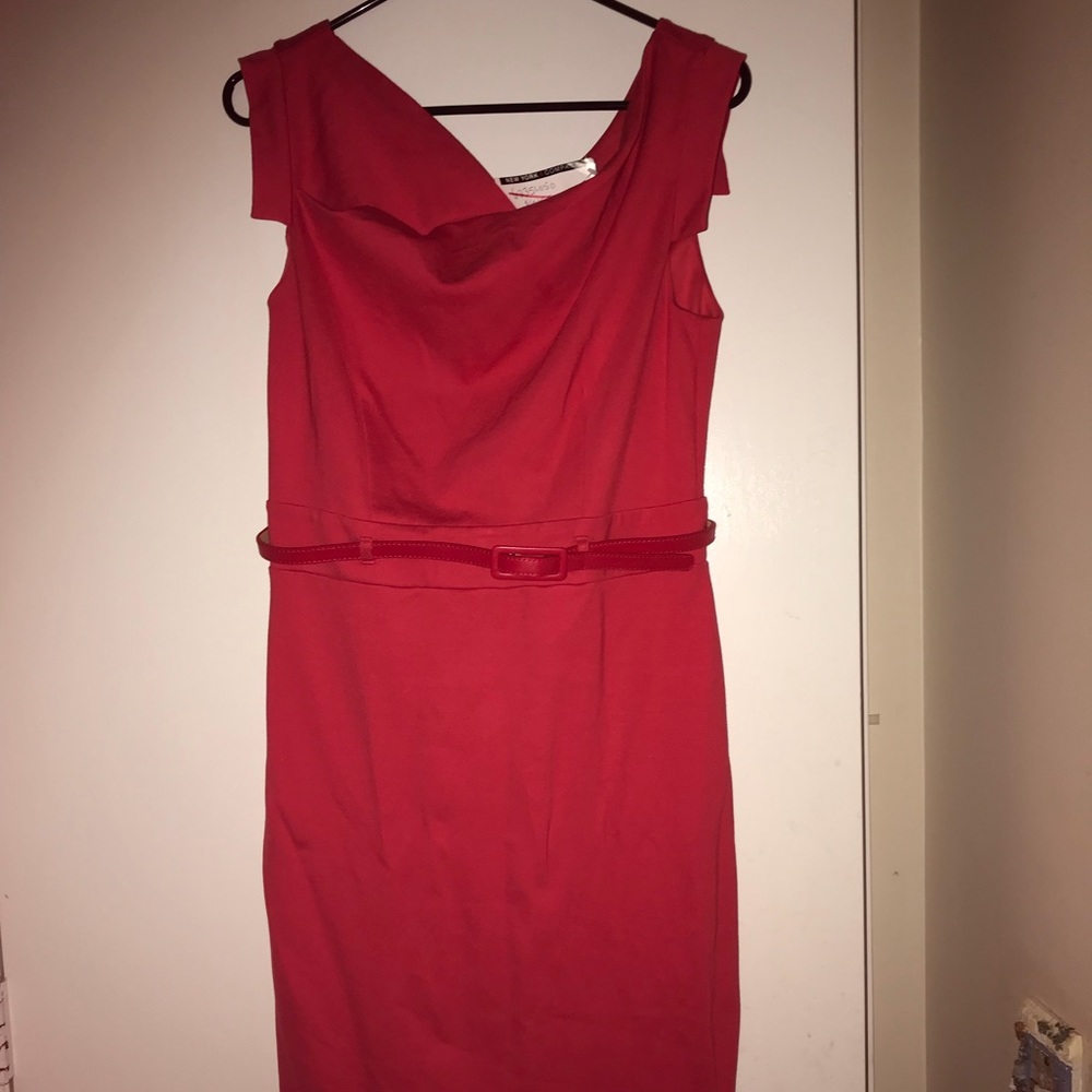 Pink New York and company dress